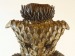 Desert vase #1